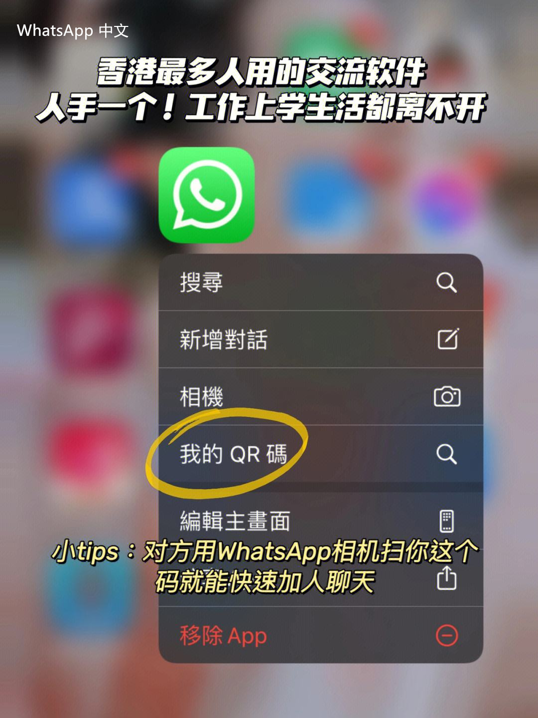 免费最新下载whatsapp 体验新版本，畅享即时通讯的无限可能，获取最新功能与更优用户体验的下载方法与步骤。