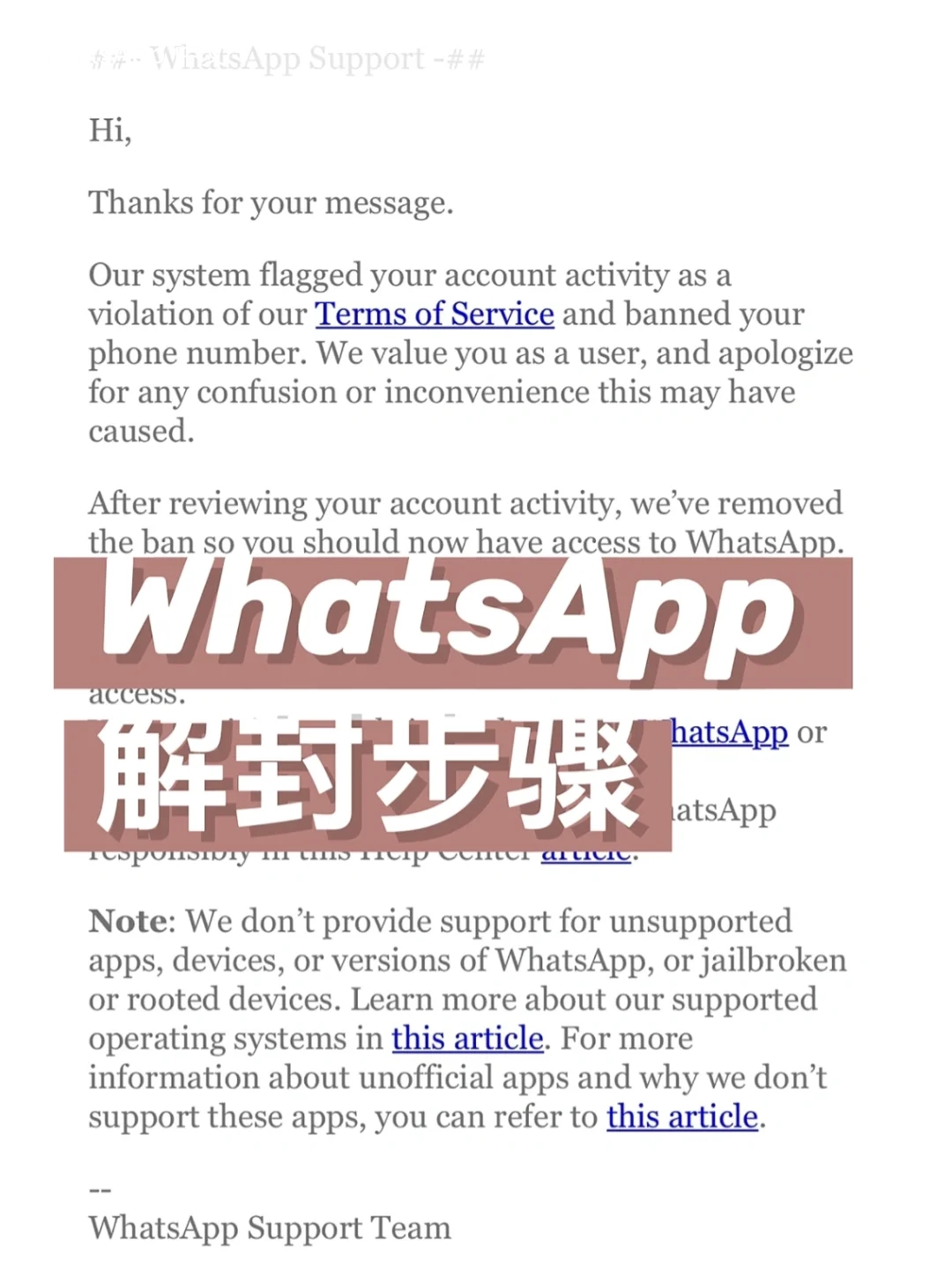 WhatsApp中文版下载 | whatsapp中文版怎么发送Excel