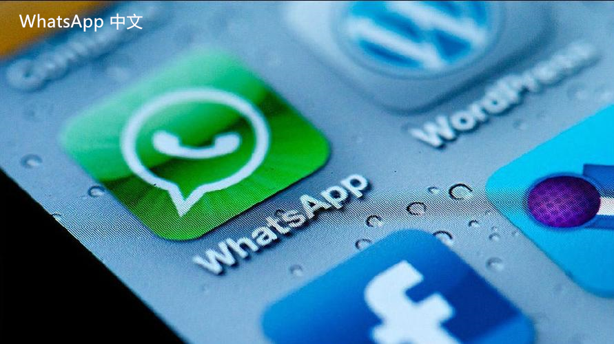 WhatsApp中文版下载 | whatsapp中文版的对话怎么恢复 如何找回丢失的聊天记录