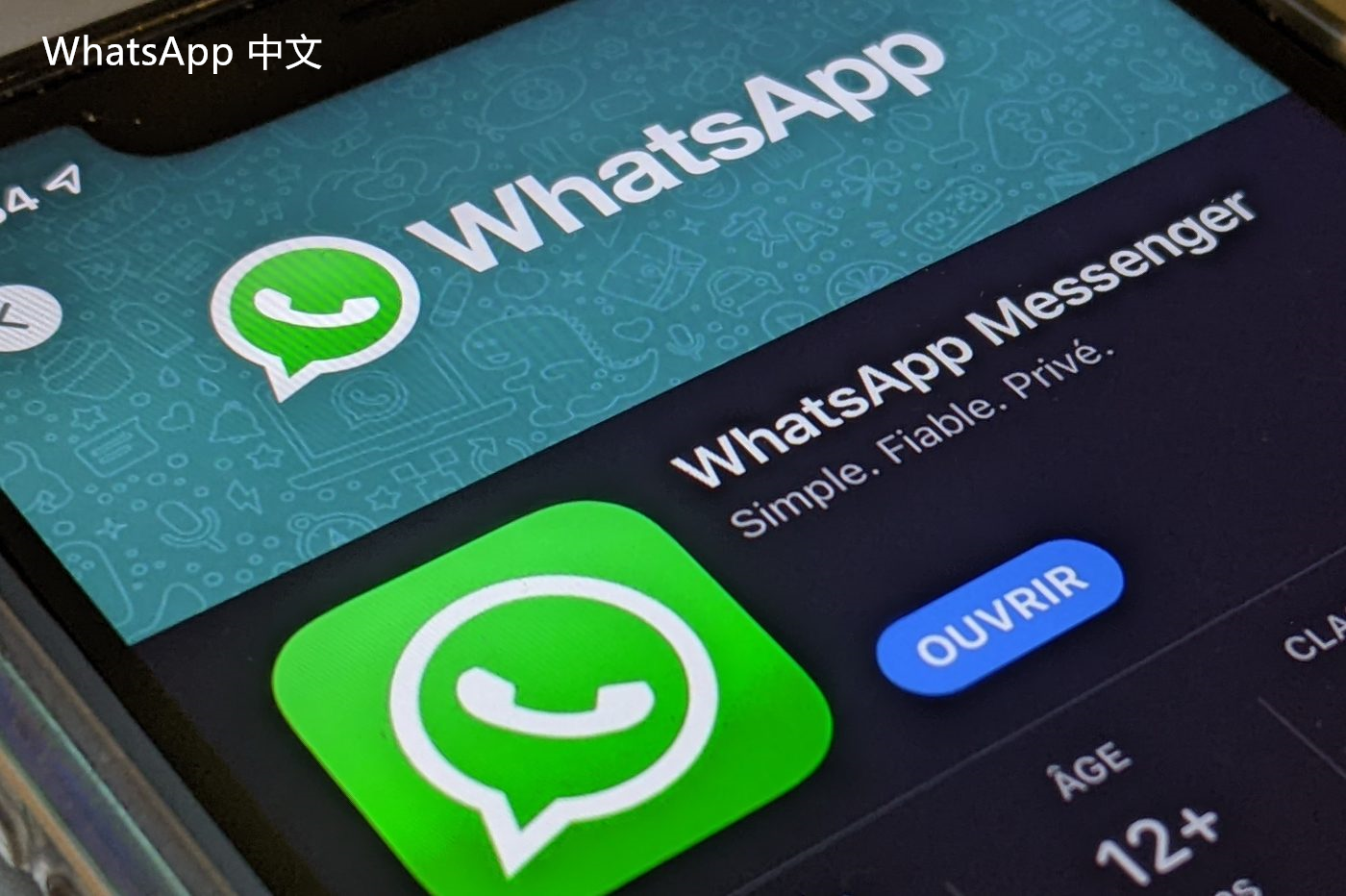 WhatsApp中文版下载 | whatsapp中文版怎么发送原图