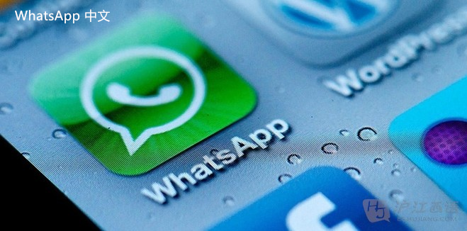 WhatsApp中文版下载 | 怎么添加越南whatsapp中文版