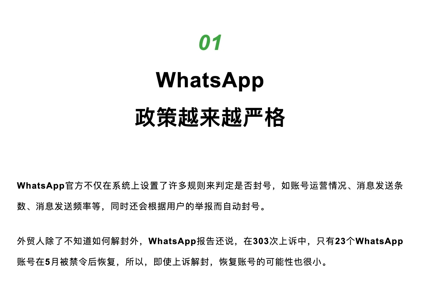 WhatsApp中文版下载 | whatsapp中文版怎么添加陌生人