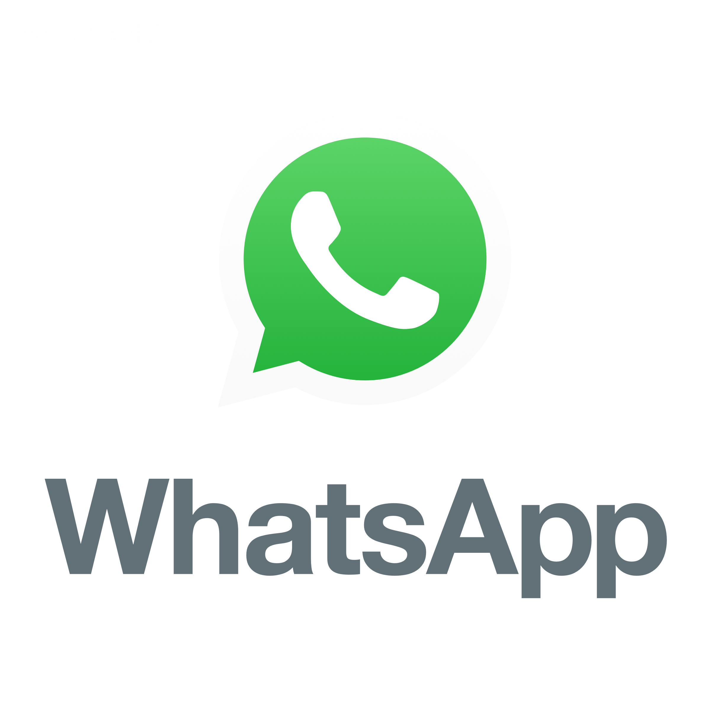 WhatsApp中文版下载 | whatsapp中文版怎么设置字段  如何配置和自定义你的WhatsApp字段以增强功能和使用体验