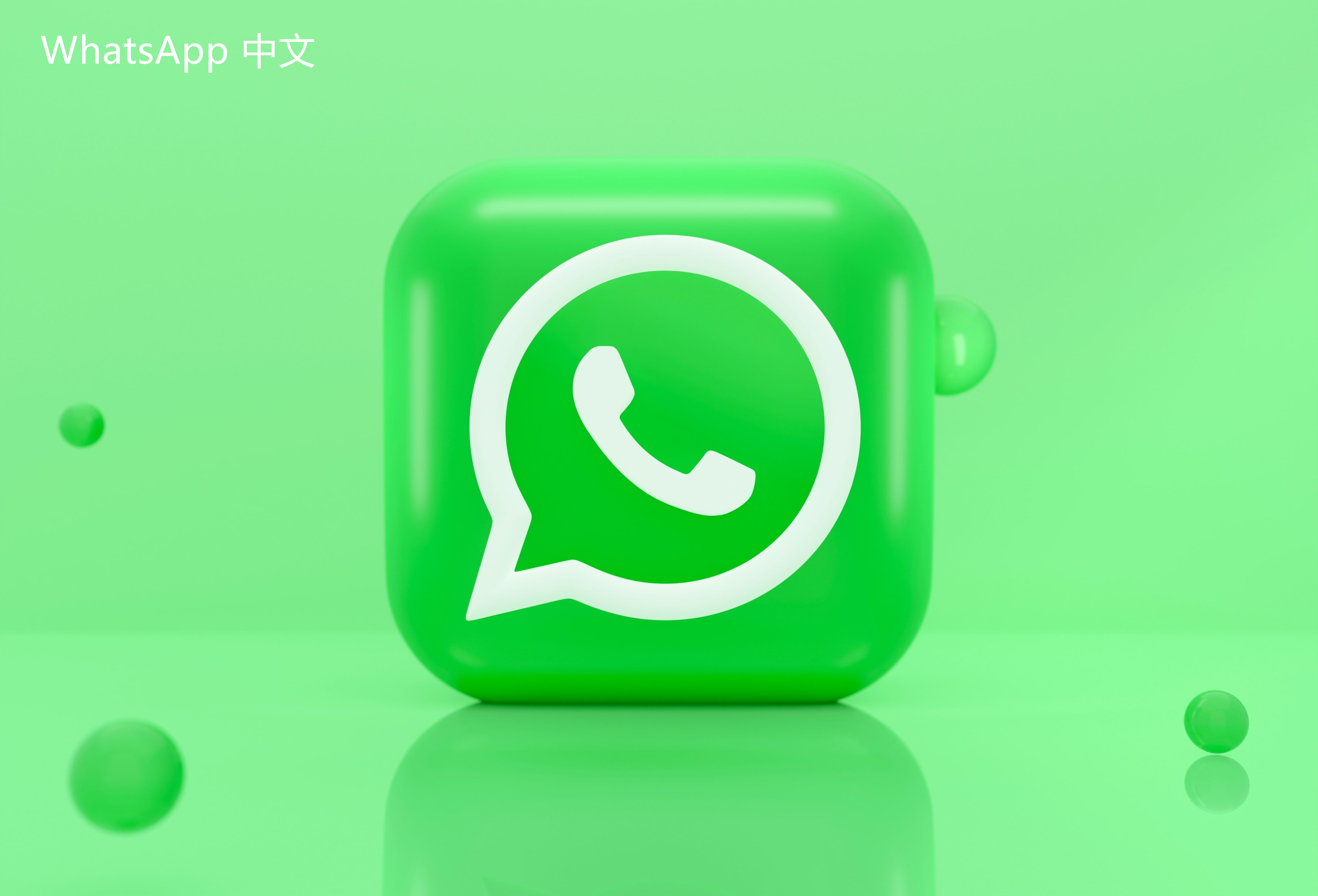 WhatsApp中文版下载 | whatsapp中文版怎么设置隐身 如何确保您的隐私在使用WhatsApp时得到保护