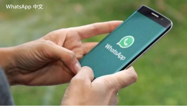 WhatsApp中文版下载 | whatsapp中文版 怎么不能用  如何解决使用问题与常见故障分析