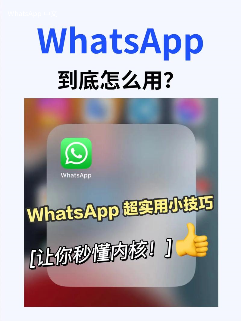 WhatsApp中文版下载 | whatsapp中文版怎么下载安装