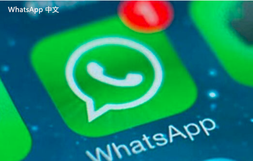 WhatsApp中文版下载 | whatsapp中文版 怎么添加人