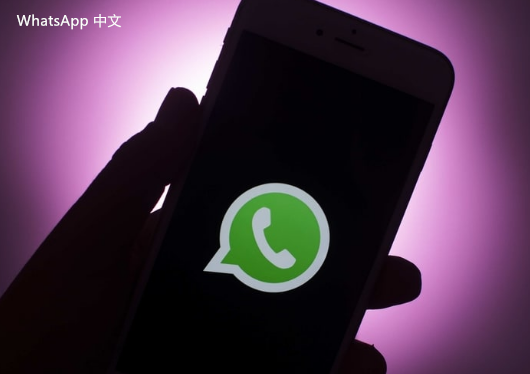 WhatsApp中文版下载 | whatsapp中文版怎么看在线 WhatsApp中文版中如何查看在线状态与联系人关联性探讨