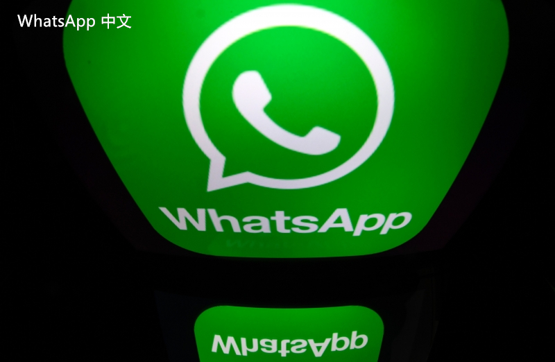 WhatsApp中文版下载 | whatsapp中文版怎么设置在线