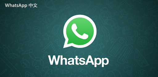 WhatsApp中文版下载 | whatsapp中文版怎么安装不进去