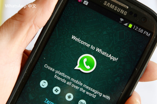 WhatsApp中文版下载 | whatsapp web：2016版下载 请关注最新动向