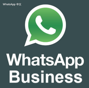 WhatsApp中文版下载 | whatsapp web：苹果下载在中国 更方便使用