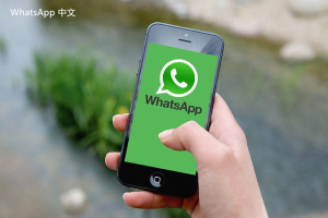 WhatsApp中文版下载 | whatsapp web：的动态发的视频下载 便捷保存与分享视频