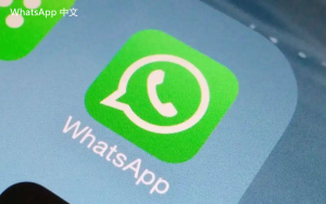 WhatsApp中文版下载 | whatsapp web：无法下载视频图片 解决问题的方法