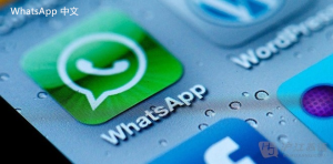 WhatsApp中文版下载 | whatsapp web：商业版本下载 适合企业使用解决方案