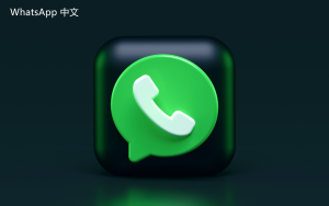 WhatsApp中文版下载 | whatsapp web：可以查看登录记录吗 了解相关隐私问题