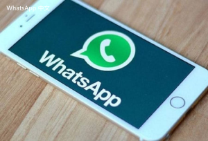 WhatsApp中文版下载 | whatsapp web：怎样下载聊天记录 轻松保存你的信息