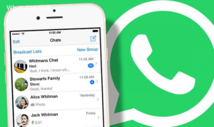 WhatsApp中文版下载 | whatsapp web：设置登录的时间 方便使用体验