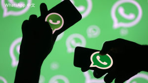 WhatsApp中文版下载 | whatsapp web：无法接收登录验证码 解决方案是什么