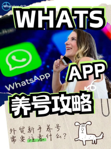 WhatsApp中文版下载 | whatsapp web：登录 给您带来便利体验