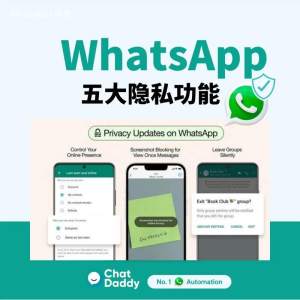 WhatsApp中文版下载 | whatsapp web： 下载的文件放哪  请查看您的文件管理器