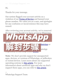 WhatsApp中文版下载 | whatsapp web：登录时一直提示检索 网络故障