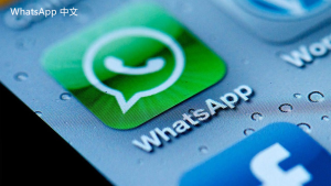 WhatsApp中文版下载 | whatsapp web：为什么在电脑端无法登录 解决方法与步骤