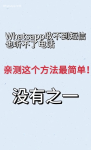 WhatsApp中文版下载 | whatsapp web：下载备份资料 是个不错的选择