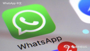 WhatsApp中文版下载 | whatsapp web：无法下载影片 可能的解决办法