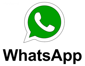 WhatsApp中文版下载 | whatsapp web：怎样在电脑登录 更轻松的连接方式