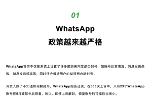 WhatsApp中文版下载 | whatsapp web：国外版本下载 选择适合你的版本