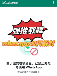 WhatsApp中文版下载 | whatsapp web：下载安装后 方便使用和连接