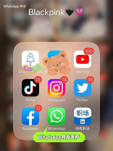 WhatsApp中文版下载 | whatsapp web：最新版apk下载 快速获取最新版本