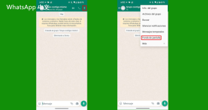 WhatsApp中文版下载 | whatsapp web：可以同时登录两个app吗 高效便捷的使用体验