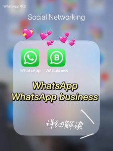 WhatsApp中文版下载 | whatsapp web：退出登录还有没有聊天记录 知道使用影响吗