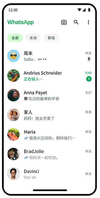 WhatsApp中文版,WhatsApp下载