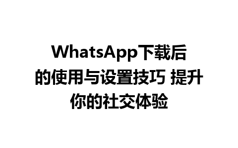 WhatsApp中文版下载 | WhatsApp下载后的使用与设置技巧 提升你的社交体验