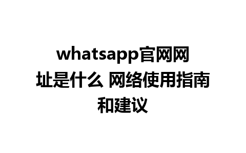 WhatsApp中文版下载 | whatsapp官网网址是什么 网络使用指南和建议