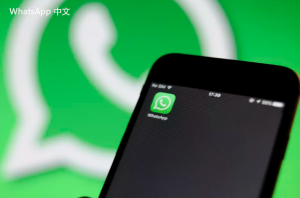 WhatsApp中文版下载 | whatsapp web：2020版本下载安装 快速获取最新资源