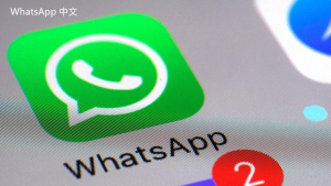 WhatsApp中文版下载 | whatsapp web：无法还原登录 请查看你的账户设置