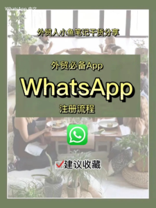 WhatsApp中文版下载 | whatsapp web：下载教程ios 轻松掌握安装步骤