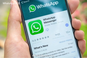 WhatsApp中文版下载 | whatsapp web：注册一小时后才能登录 请耐心等待