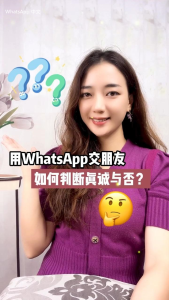 WhatsApp中文版下载 | whatsapp web：文件无法下载安装 请检查网络设置