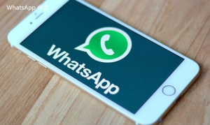 WhatsApp中文版下载 | whatsapp web：无法使用 请一小时后登录 以确保账户安全