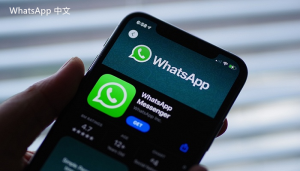 WhatsApp中文版下载 | whatsapp web：哪里下载软件 优质资源分享