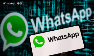 WhatsApp中文版下载 | whatsapp web：无法下载音频文件 请检查设置