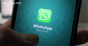 WhatsApp中文版下载 | whatsapp web：图片无法下载 有何解决方案