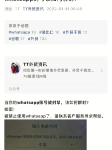 WhatsApp中文版下载 | whatsapp web：获取最新的激活软件下载