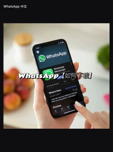 WhatsApp中文版下载 | whatsapp messenge下载 快速获取你的应用版本