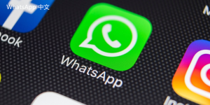 WhatsApp中文版下载 | whatsapp ios下载 便捷的移动通讯解决方案